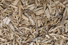 biomass boilers Charlwood
